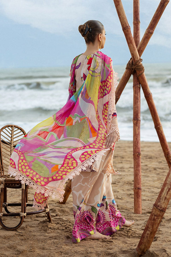 Naqsh O-Opulence Winter`25 D#169