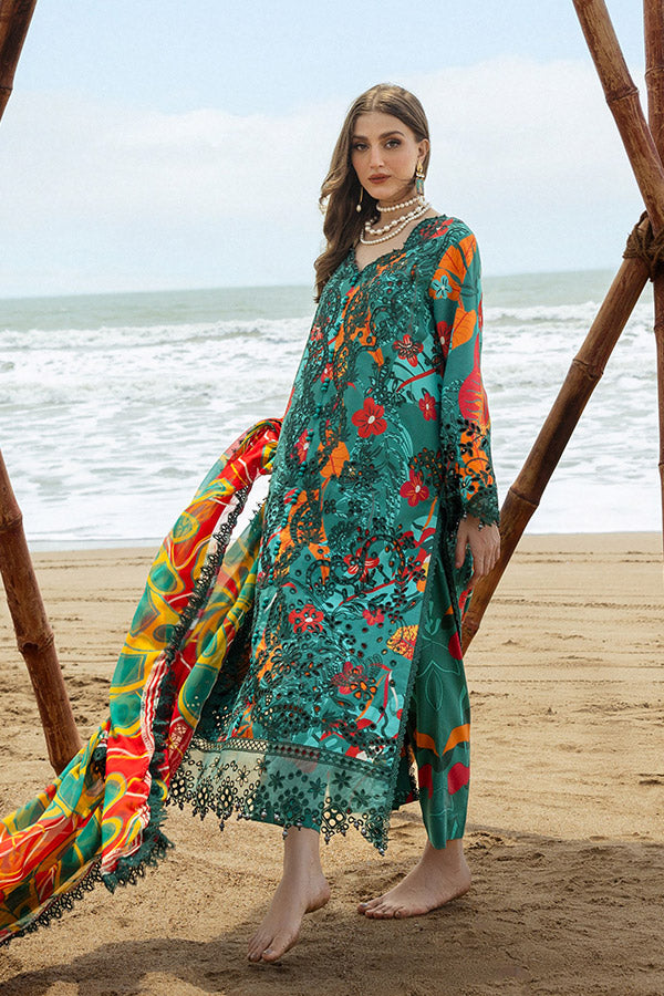 Naqsh O-Opulence Winter`25 D#170