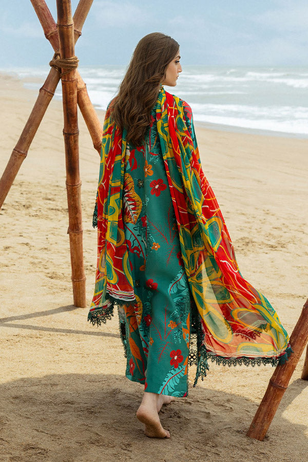 Naqsh O-Opulence Winter`25 D#170