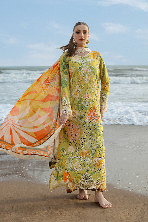 Naqsh O-Opulence Winter`25 D#172