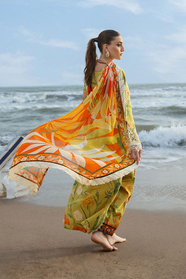 Naqsh O-Opulence Winter`25 D#172