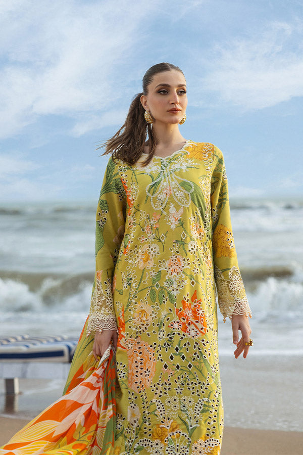 Naqsh O-Opulence Winter`25 D#172