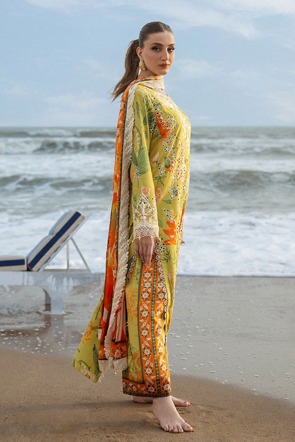 Naqsh O-Opulence Winter`25 D#172