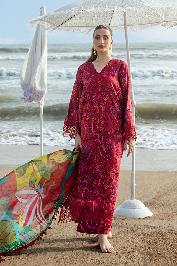 Naqsh O-Opulence Winter`25 D#173