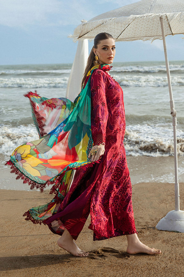 Naqsh O-Opulence Winter`25 D#173