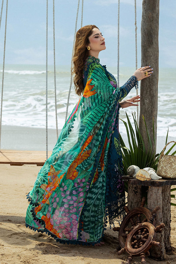 Naqsh O-Opulence Winter`25 D#176