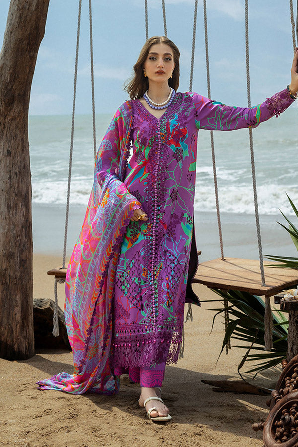 Naqsh O-Opulence Winter`25 D#177