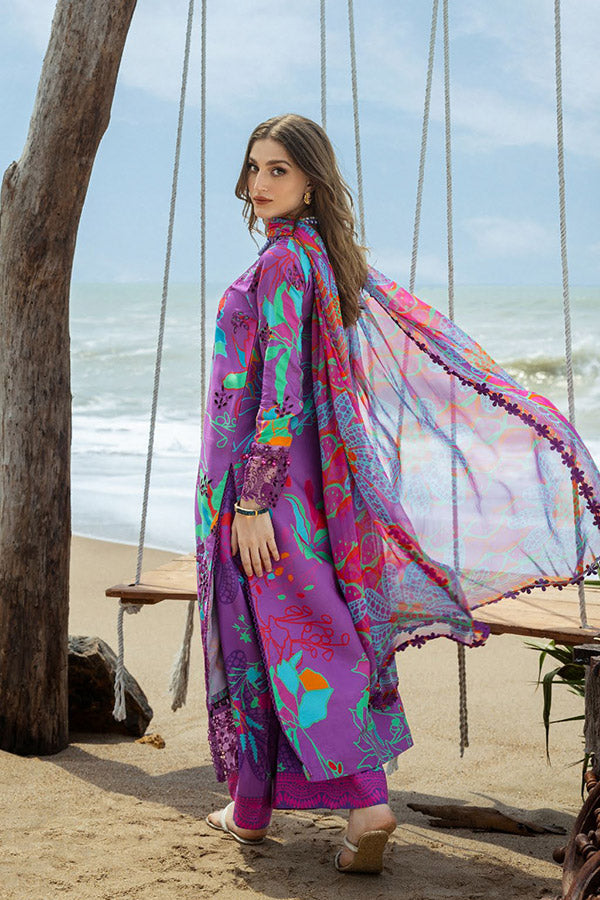 Naqsh O-Opulence Winter`25 D#177