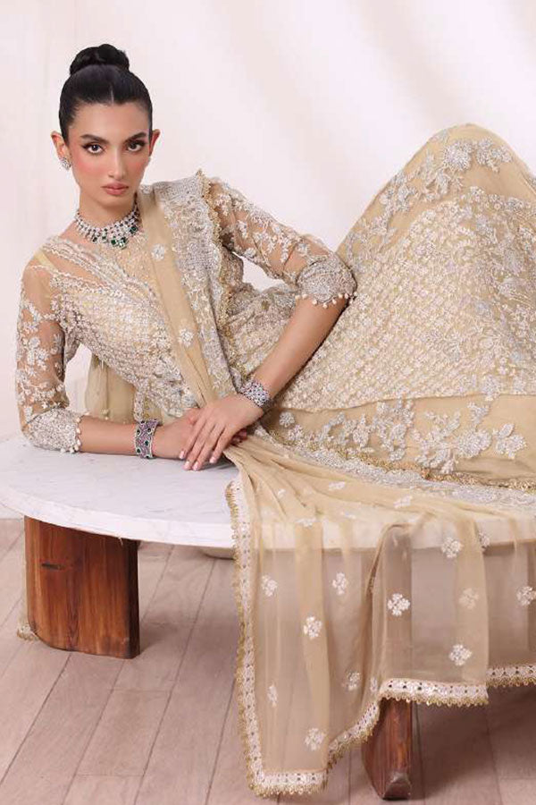 Noor By Saadia Asad Chiffon De Luxe'24 D#1 NURA
