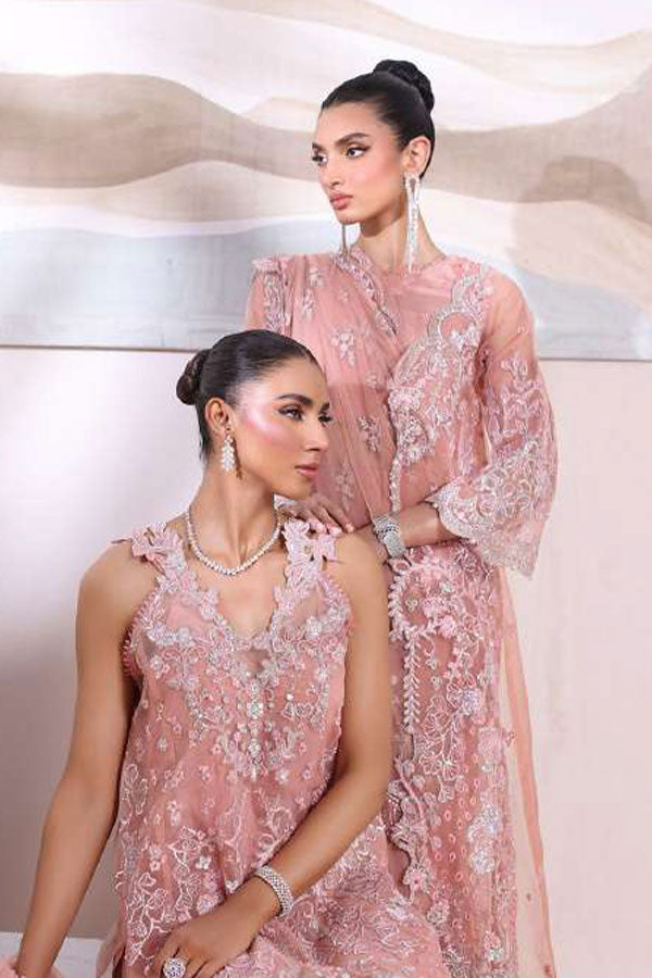 Noor By Saadia Asad Chiffon De Luxe'24 D#6 VERA