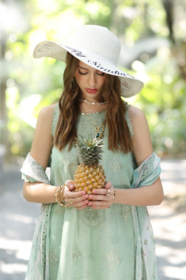 Noor Eid Luxe Printed Kari By Saadia Asad'25 D#6A