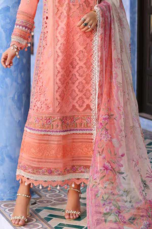 Noor By Saadia Asad Luxury Chikenkari Lawn`23 D#02-A