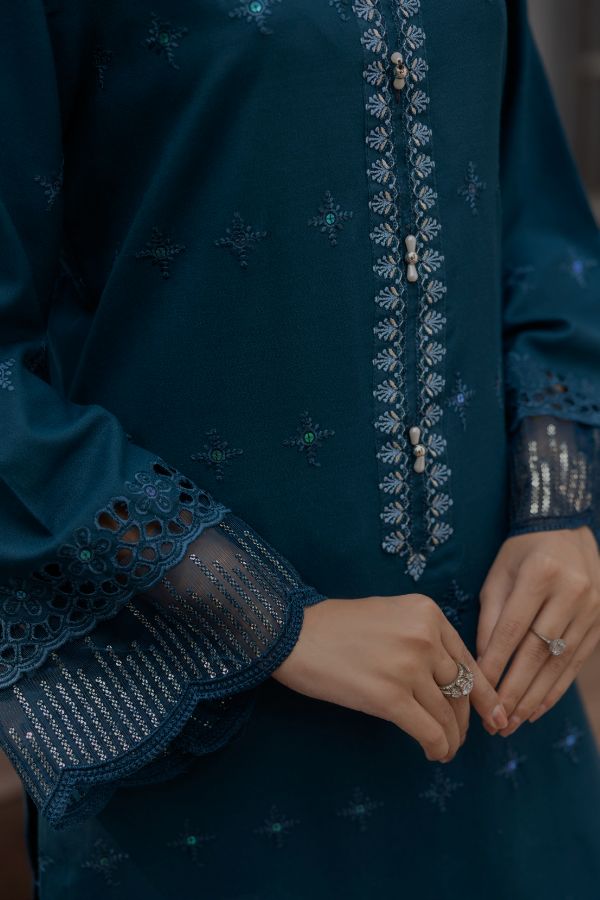 Noor Jahan Monal Velvet Shawl`25 D#2