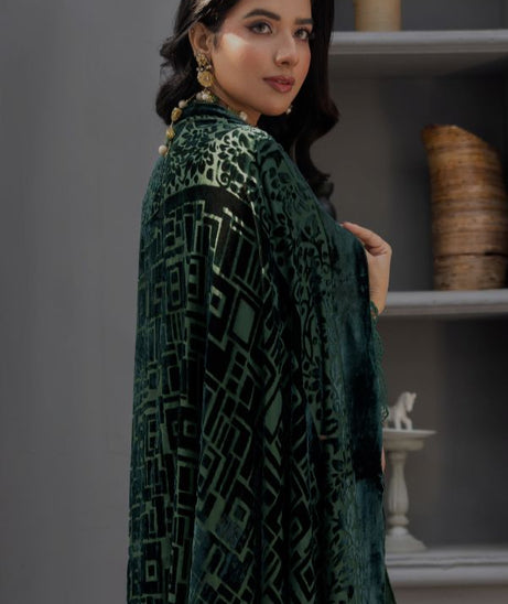 Noor Jahan Monal Velvet Shawl`25 D#4