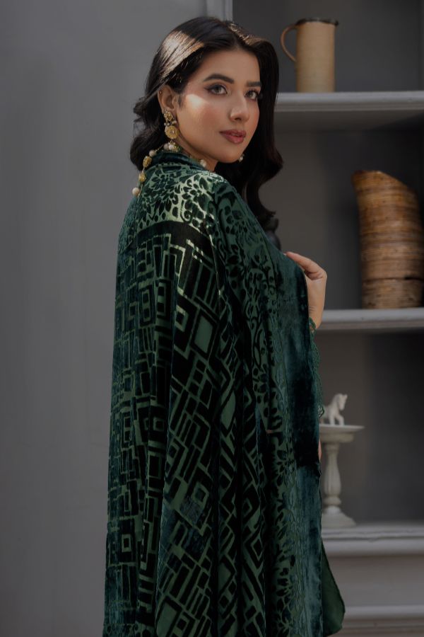 Noor Jahan Monal Velvet Shawl`25 D#4