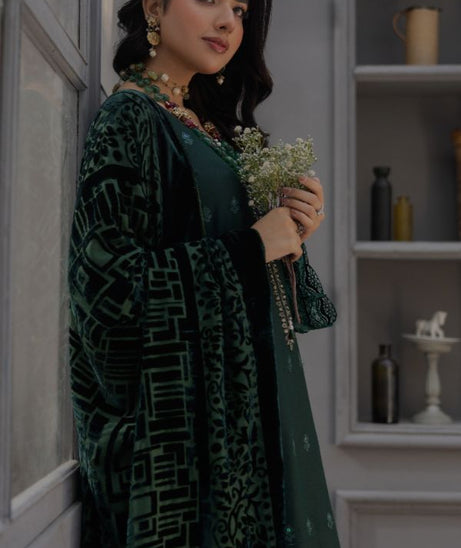 Noor Jahan Monal Velvet Shawl`25 D#4