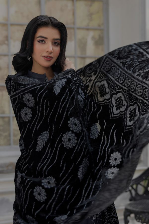 Noor Jahan Monal Velvet Shawl`25 D#7