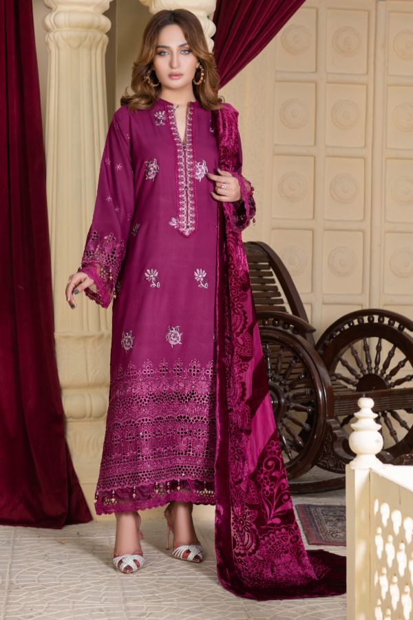 Noor Jahan Republic V/Shawl`25 D#4