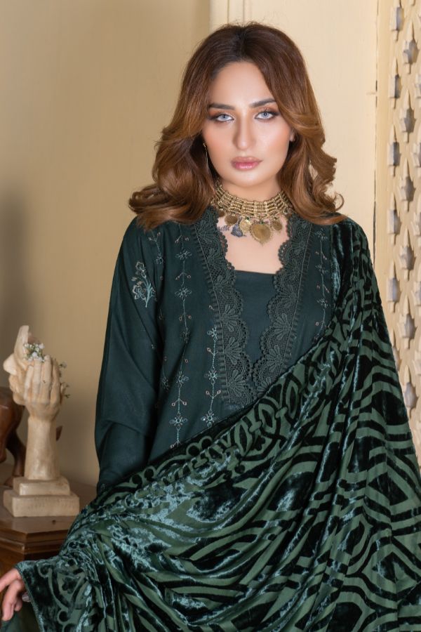 Noor Jahan Republic V/Shawl`25 D#6