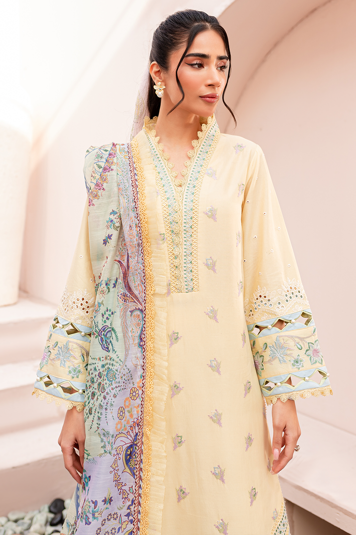Zoya & Fatima Aman L/Lawn`24 (NURA)