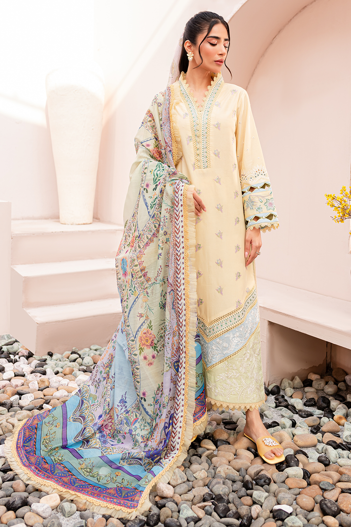 Zoya & Fatima Aman L/Lawn`24 (NURA)