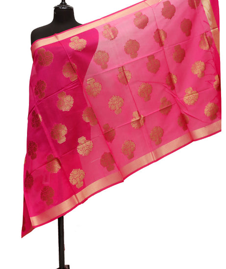 Organza Zari Dupatta D#2 A
