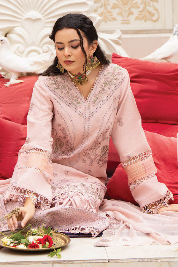 Panache ilana Emb Chiffon'24 Vol-2 D#7