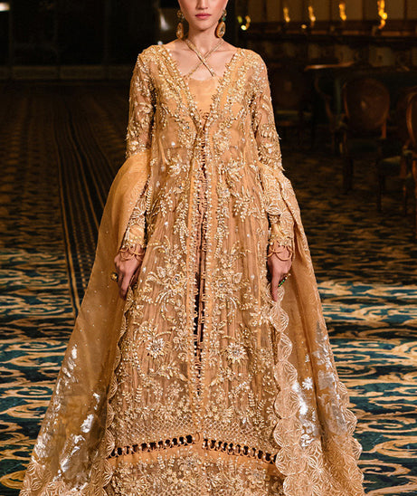 Parishay Cindrella Luxury'24 (AMBRE)