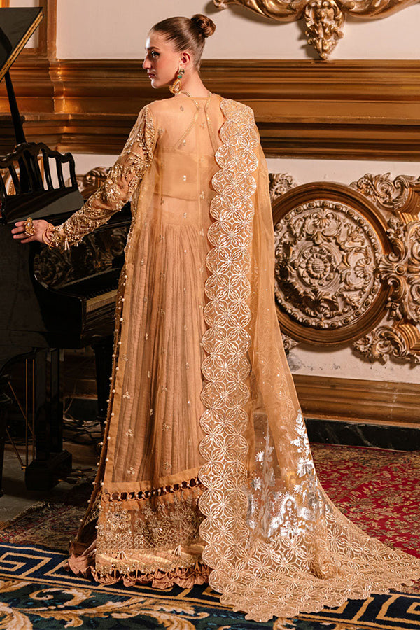 Parishay Cindrella Luxury'24 (AMBRE)