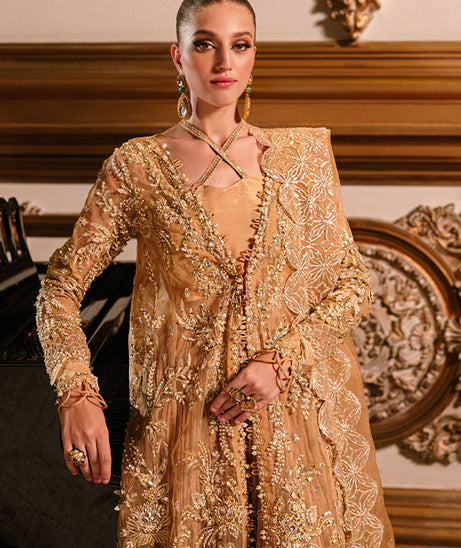 Parishay Cindrella Luxury'24 (AMBRE)