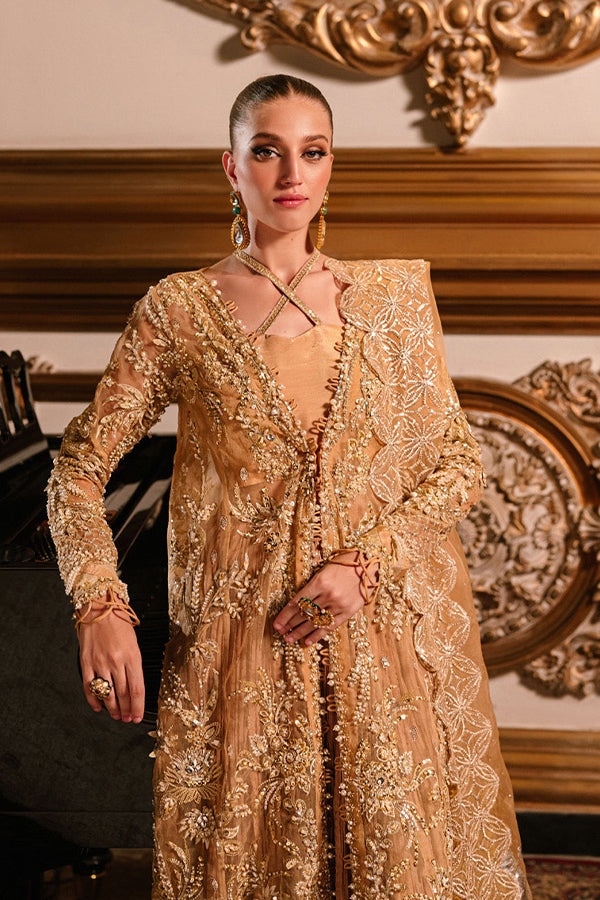 Parishay Cindrella Luxury'24 (AMBRE)