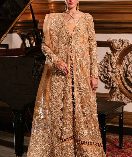 Parishay Cindrella Luxury'24 (AMBRE)