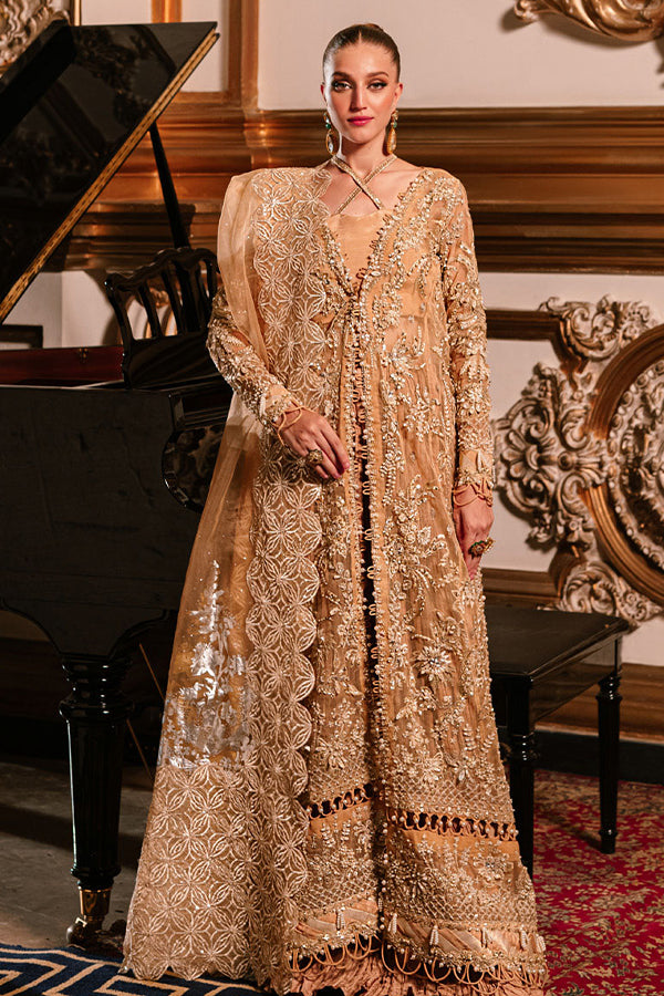 Parishay Cindrella Luxury'24 (AMBRE)