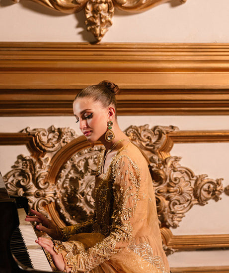 Parishay Cindrella Luxury'24 (AMBRE)