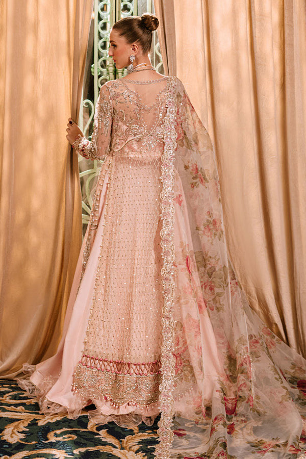 Parishay Cindrella Luxury'24 (BREVOLA)