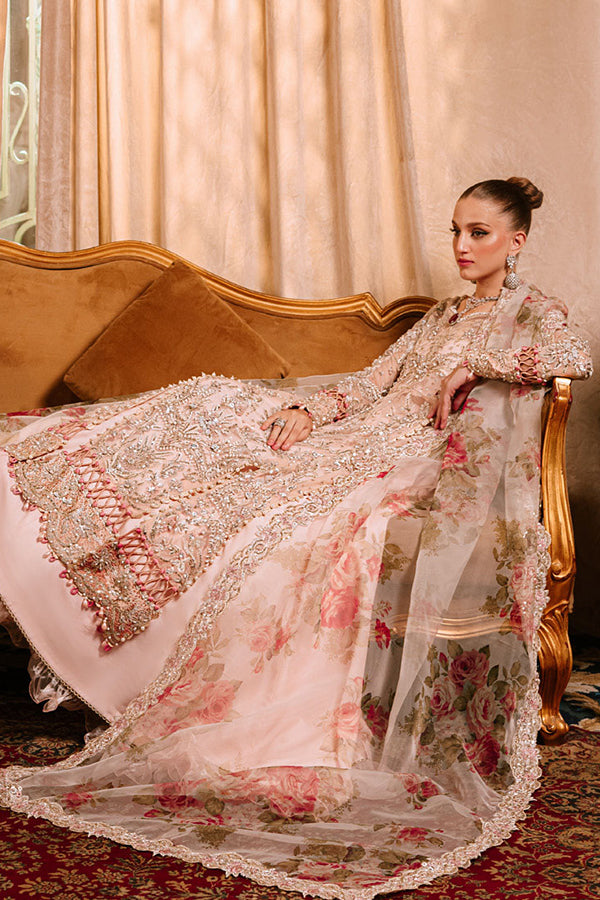 Parishay Cindrella Luxury'24 (BREVOLA)