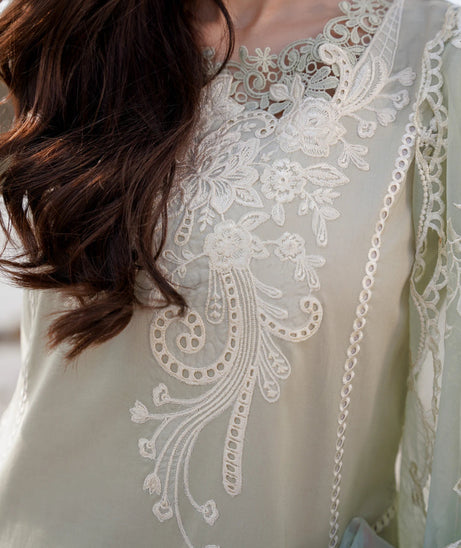 Aabyaan Saagar L/Lawn'24 D#04 YAZMIN