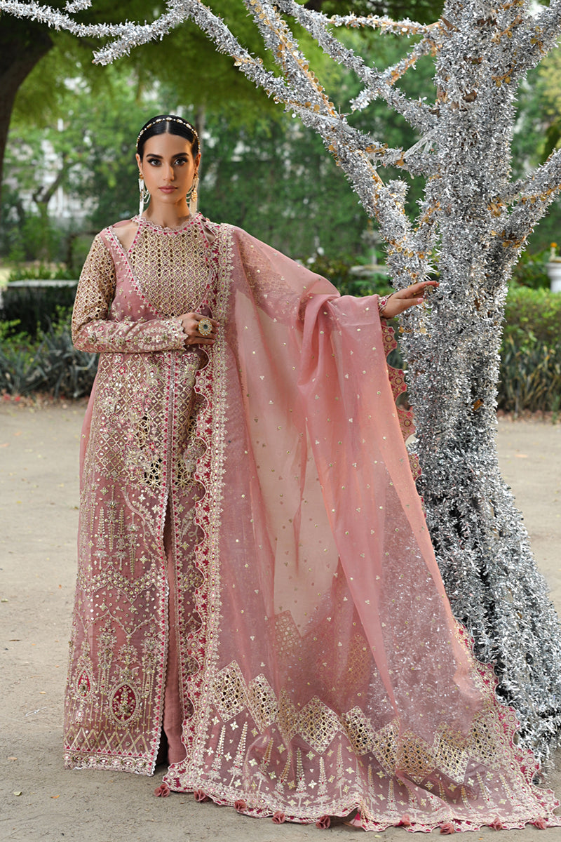 Qalamkar Singhar Wedding Formals'24 RF#2 SALEHA