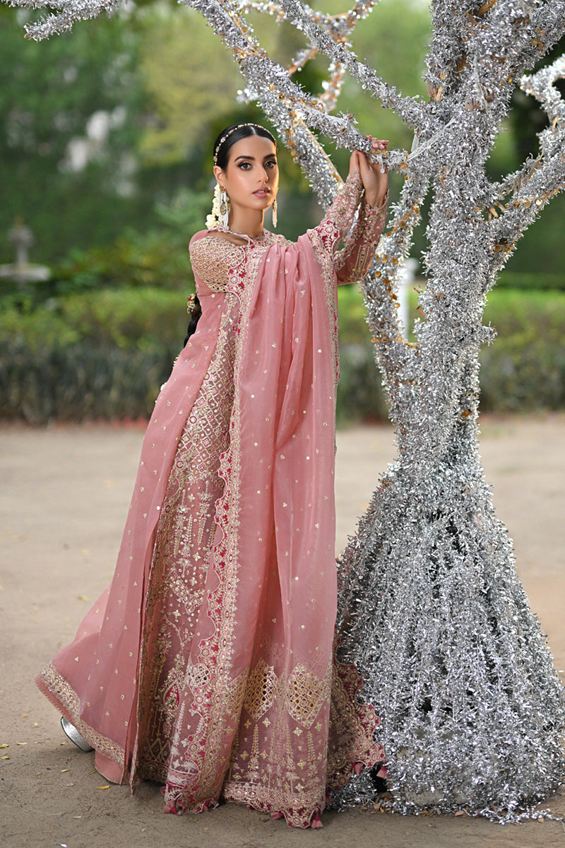 Qalamkar Singhar Wedding Formals'24 RF#2 SALEHA