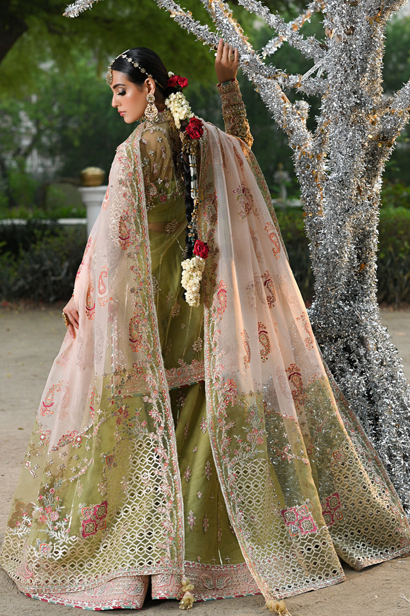 Qalamkar Singhar Wedding Formals'24 RF#7 HALENA