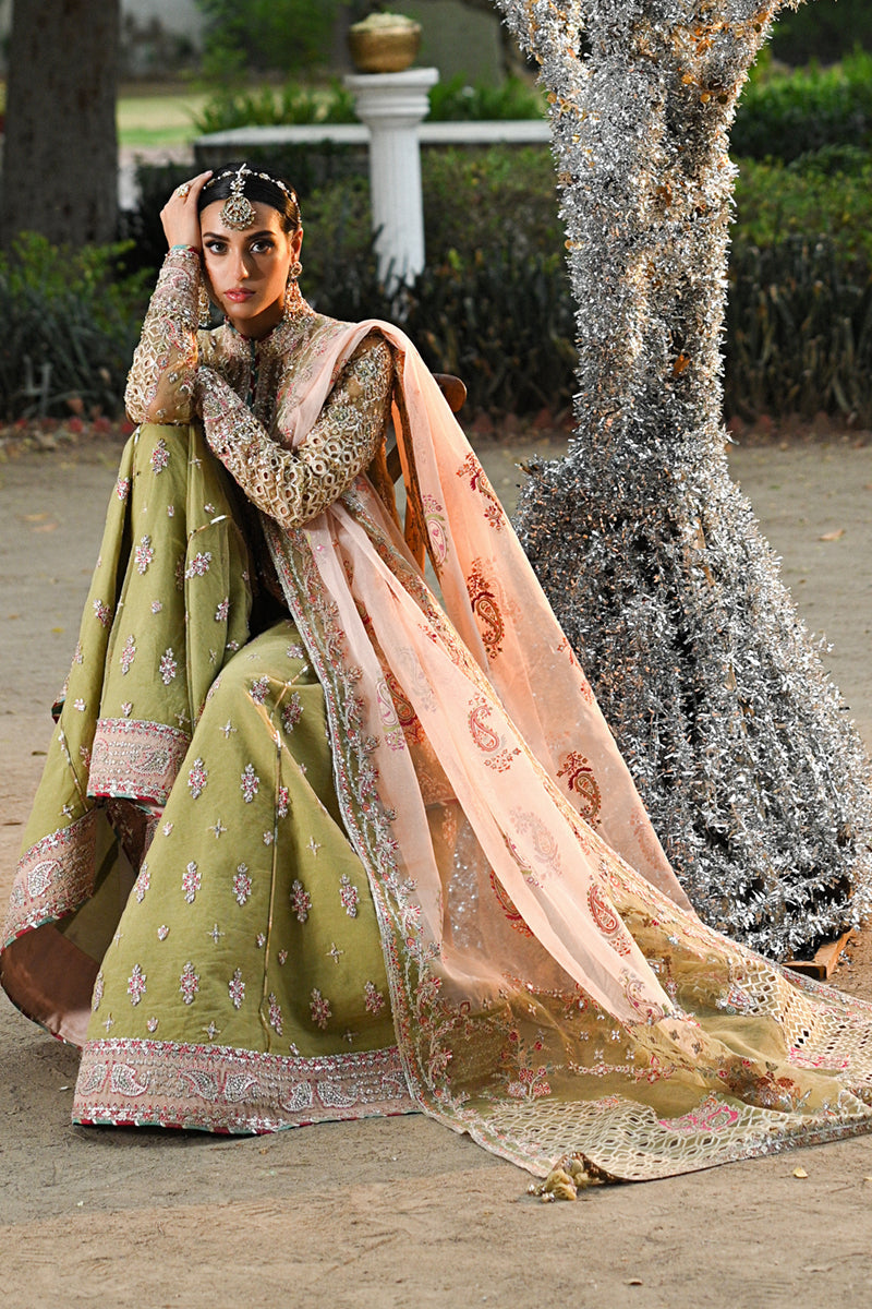 Qalamkar Singhar Wedding Formals'24 RF#7 HALENA