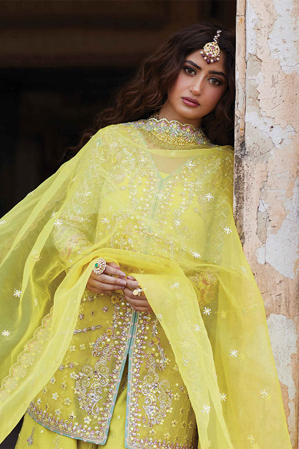 Qalamkar Shadmani Luxury Formal's`24 SH#05 DANIA