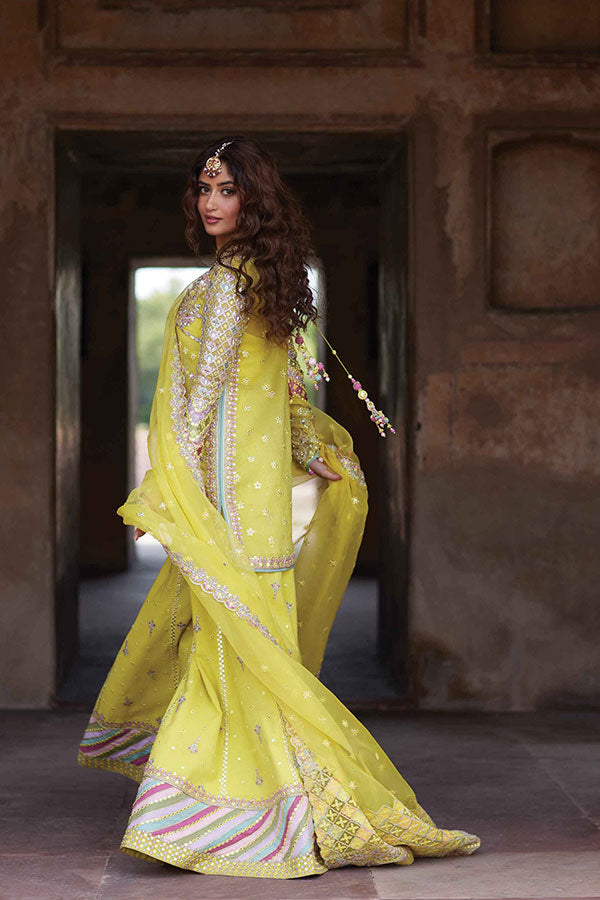 Qalamkar Shadmani Luxury Formal's`24 SH#05 DANIA