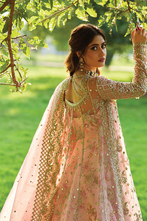 Qalamkar Shadmani Luxury Formal's`24 SH#08 SAIRA