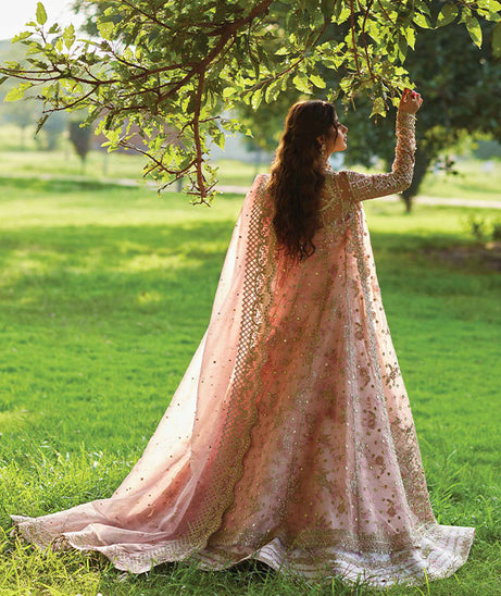 Qalamkar Shadmani Luxury Formal's`24 SH#08 SAIRA