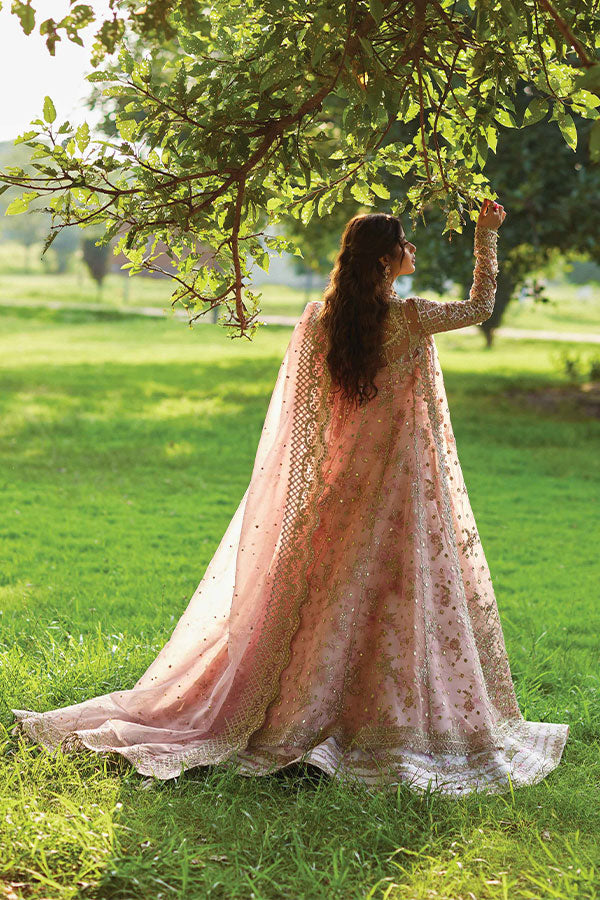 Qalamkar Shadmani Luxury Formal's`24 SH#08 SAIRA