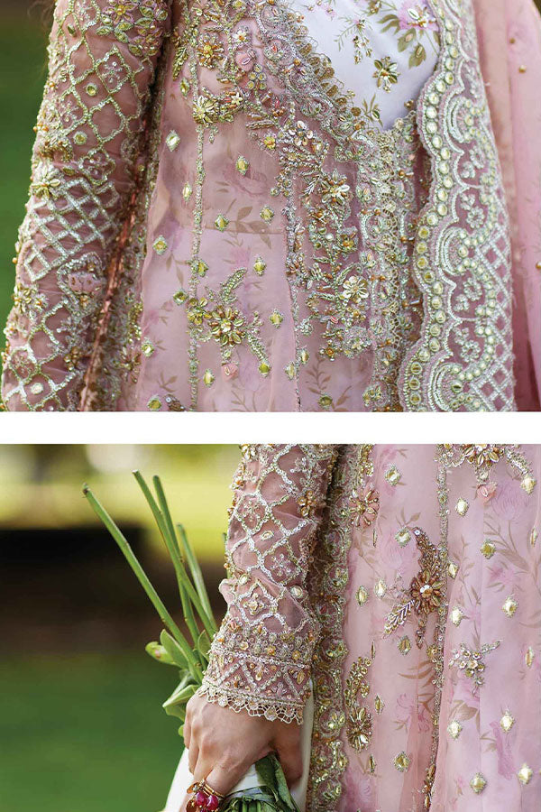 Qalamkar Shadmani Luxury Formal's`24 SH#08 SAIRA