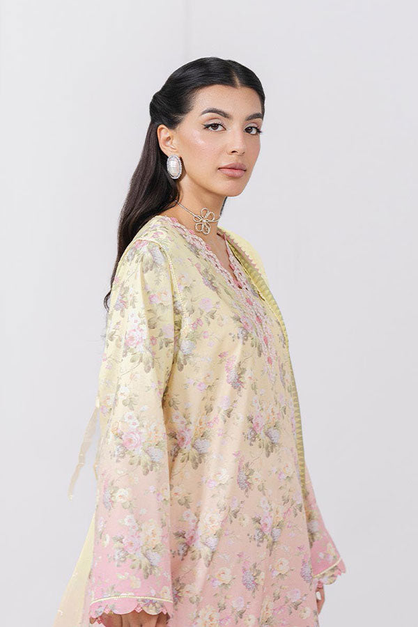 Qalamkar Q Prints Lawn'25 Vol-2 EM#08-A