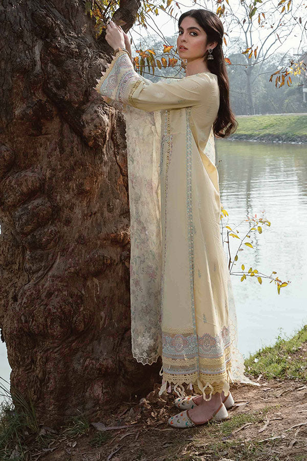 Qalamkar Qline Lawn Collection`23 AK#02 (VIDA)