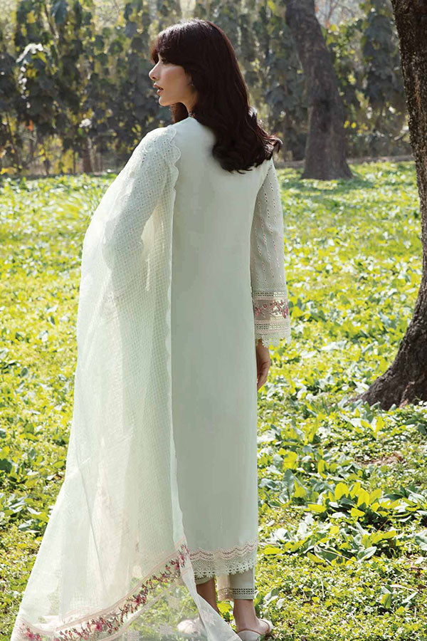 Qalamkar Qline Lawn Collection`23 AK#05 (EMHAL)